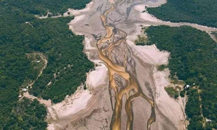 el rio amazonas se esta secando 0930 gypr8o5akaawxjj jeehj3