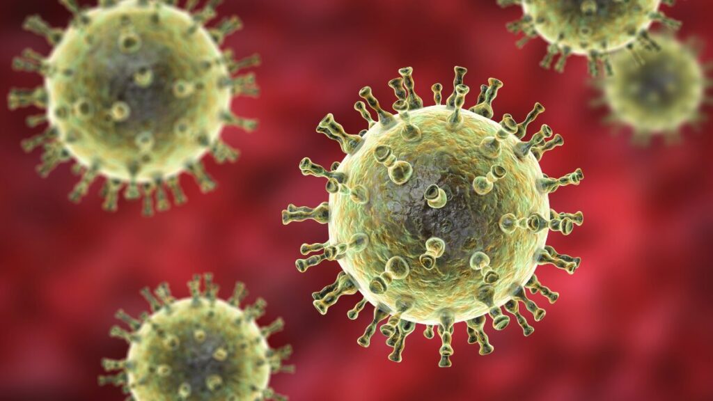 el metapneumovirus humano hmpv el nuevo virus que alerta al mundo tras casi cinco anos de pandemia el metapneumovirus humano hmpv el nuevo virus que alerta al mundo tras casi cinco anos de pandemia we