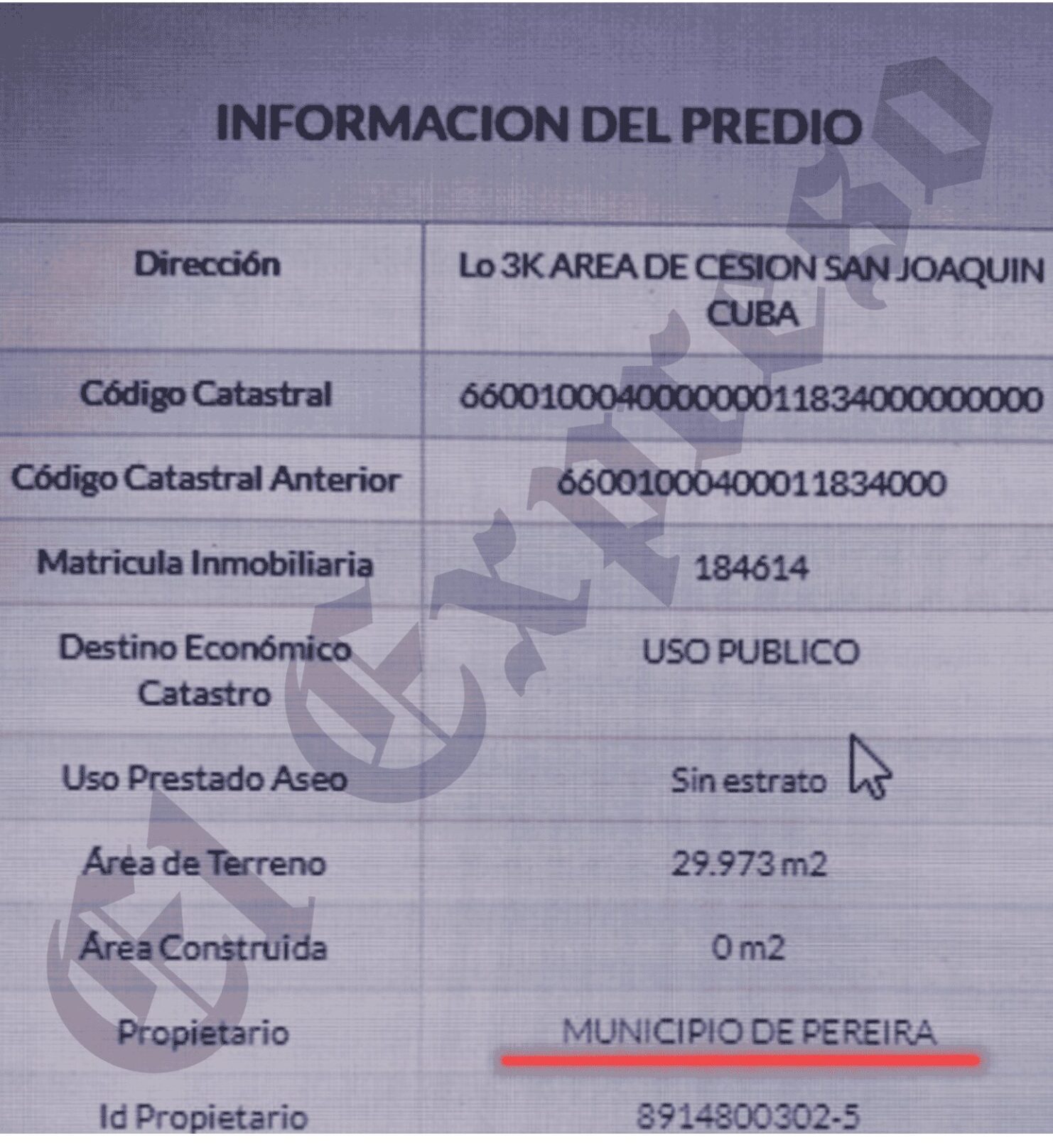 la ineptitud de una exdirectora de la carder y un inspector de policia dejaron destruir un rio y guaduales con viviendas y marraneras desde 2019 la ineptitud de una exdirectora de la carder y un inspe 1 e1740152075652