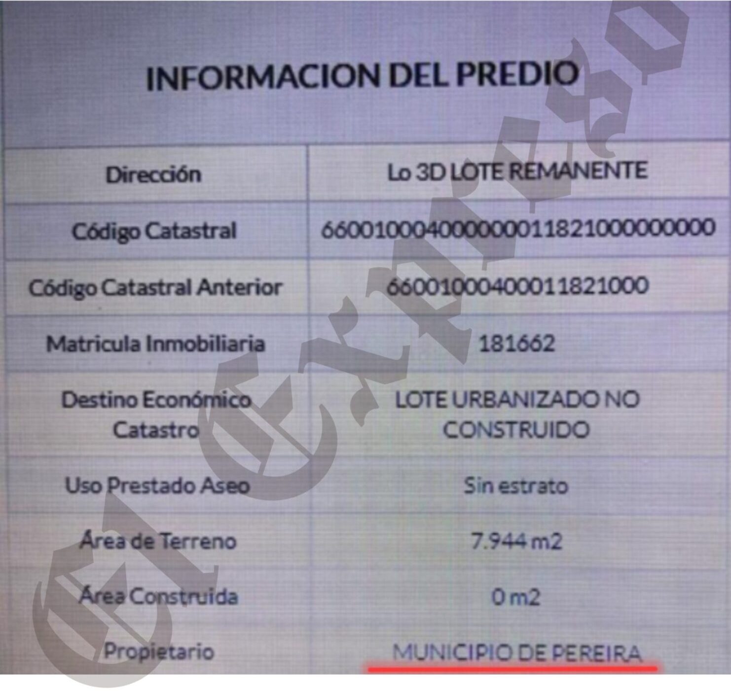 la ineptitud de una exdirectora de la carder y un inspector de policia dejaron destruir un rio y guaduales con viviendas y marraneras desde 2019 la ineptitud de una exdirectora de la carder y un inspe 2 e1740152116620