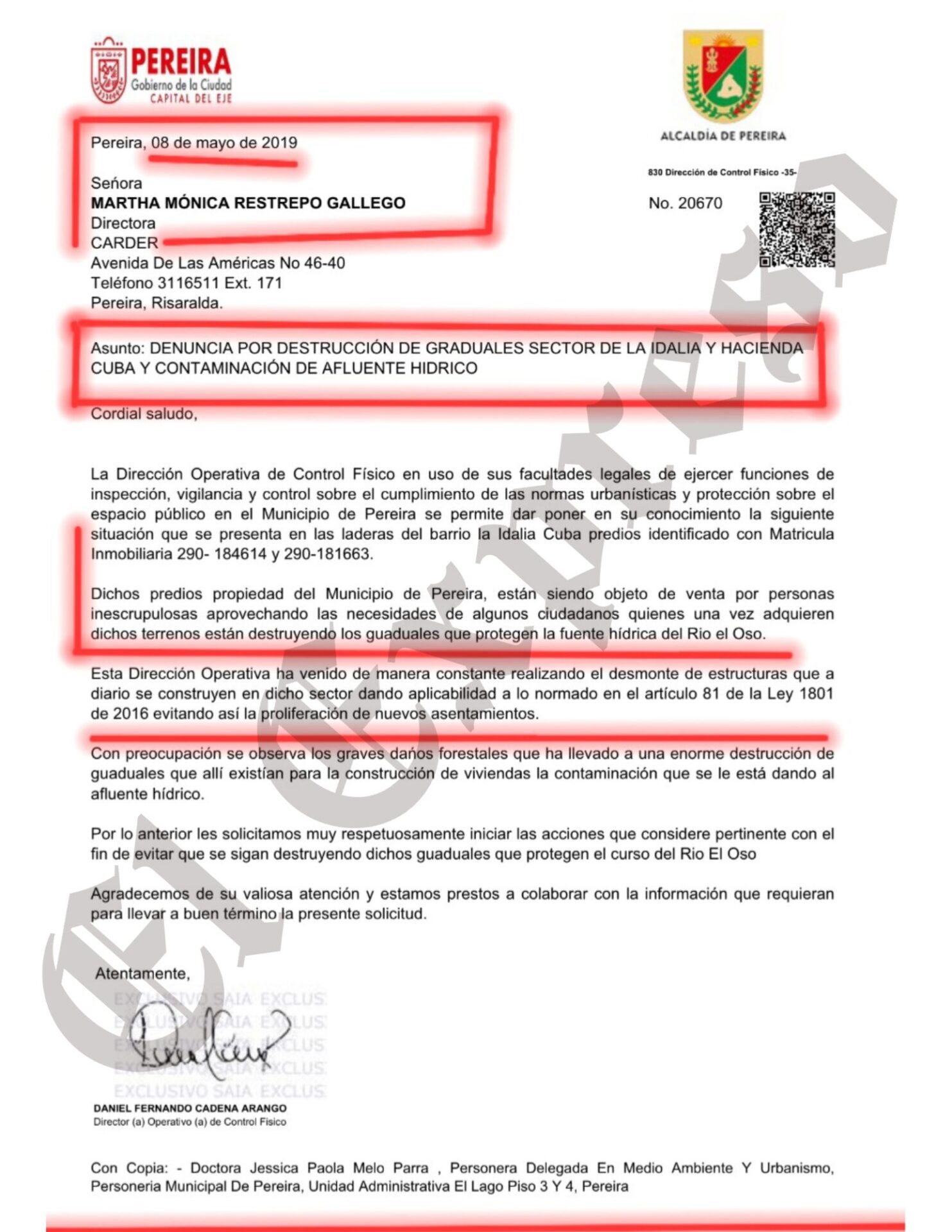 la ineptitud de una exdirectora de la carder y un inspector de policia dejaron destruir un rio y guaduales con viviendas y marraneras desde 2019 la ineptitud de una exdirectora de la carder y un inspe 3