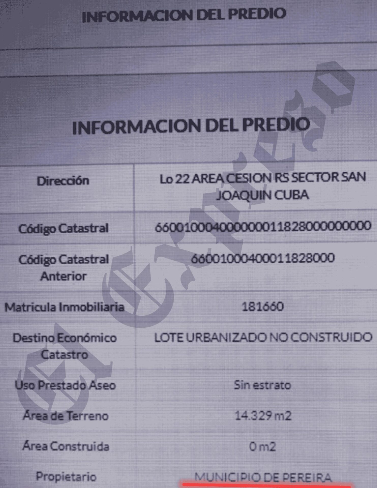 la ineptitud de una exdirectora de la carder y un inspector de policia dejaron destruir un rio y guaduales con viviendas y marraneras desde 2019 la ineptitud de una exdirectora de la carder y un inspe